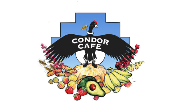 308116097_531145539015006_4233420990908570913_n