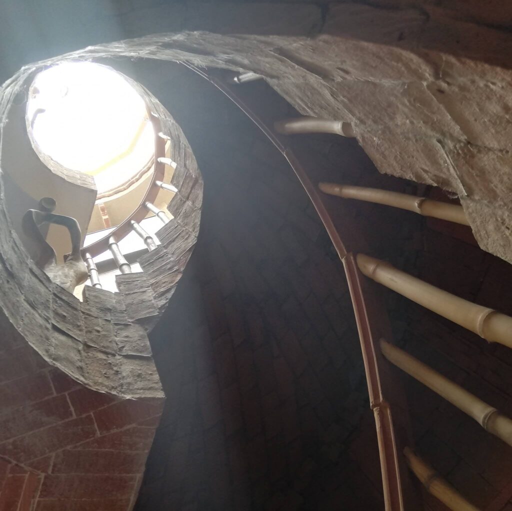 309233923_468517615324706_3509595992853016794_n