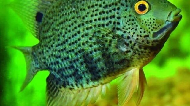 309334375_126494296839608_5275412198529120416_n