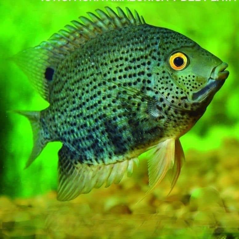 309334375_126494296839608_5275412198529120416_n