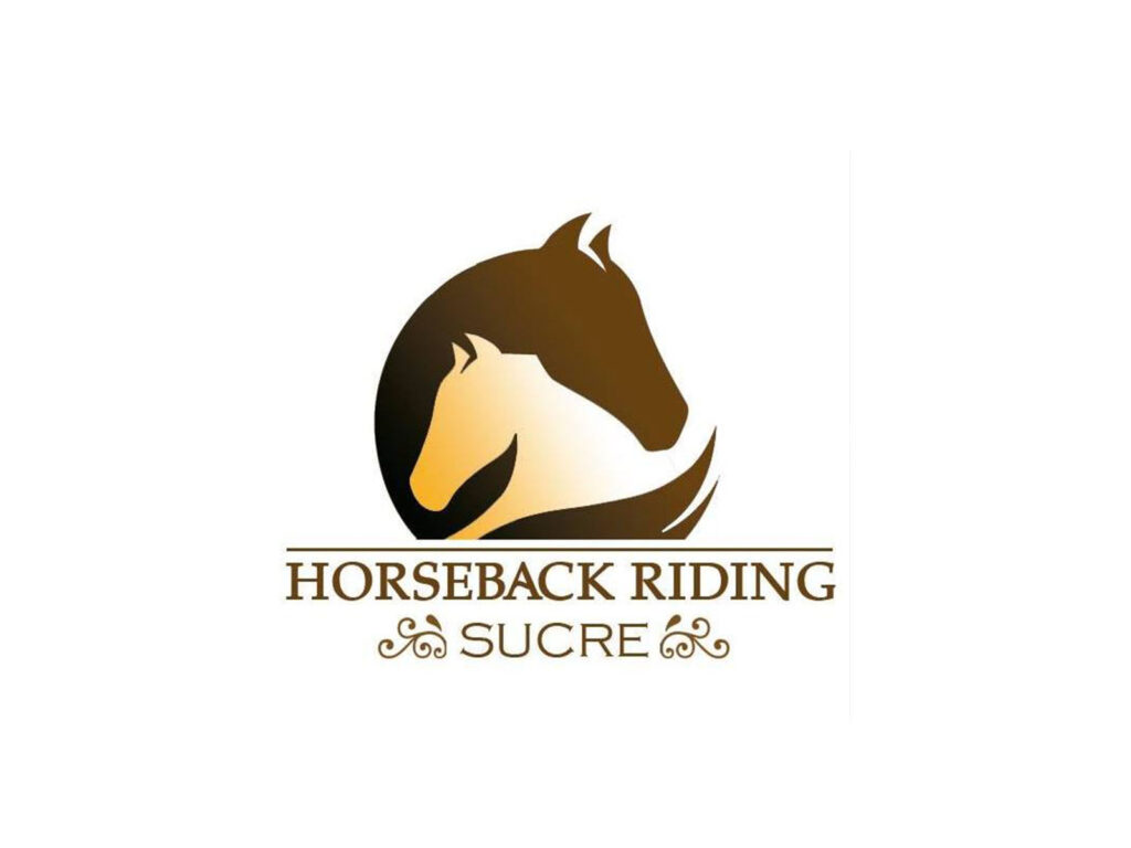 313195507_478302614332418_3871094758146522270_n