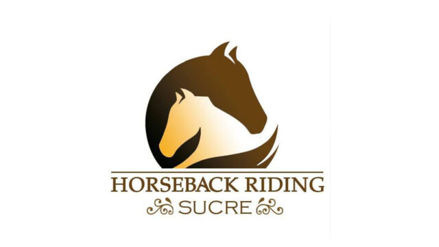 313195507_478302614332418_3871094758146522270_n