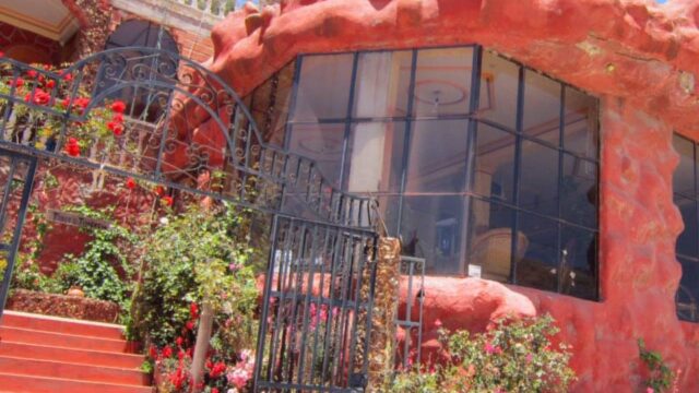 313352660_536134635186282_4928325996296876627_n