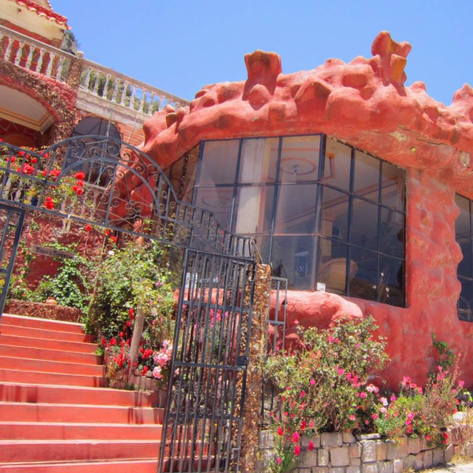 313352660_536134635186282_4928325996296876627_n