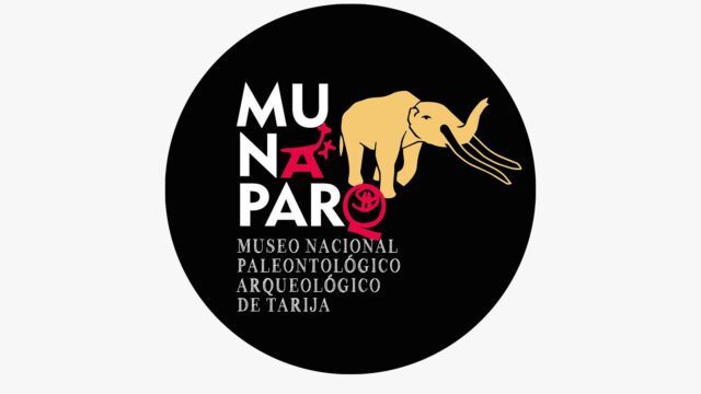 315079627_515397910638146_376891047206810530_n