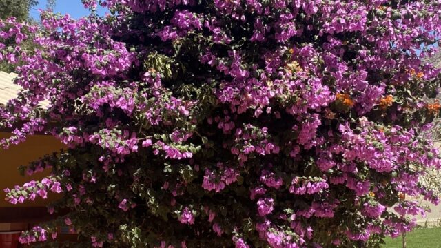 337151433_2146762448851347_747110304861985251_n