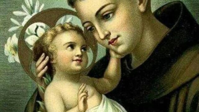 364038057_737670294783797_9114342896981350540_n