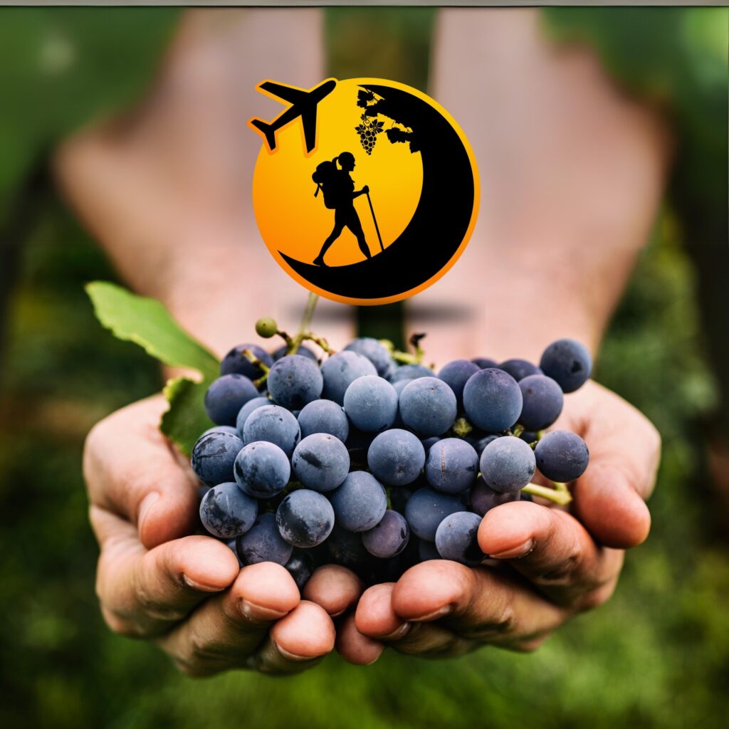 419743827_329556636708618_6650611041368211060_n