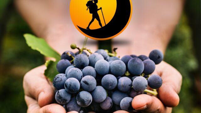 419743827_329556636708618_6650611041368211060_n