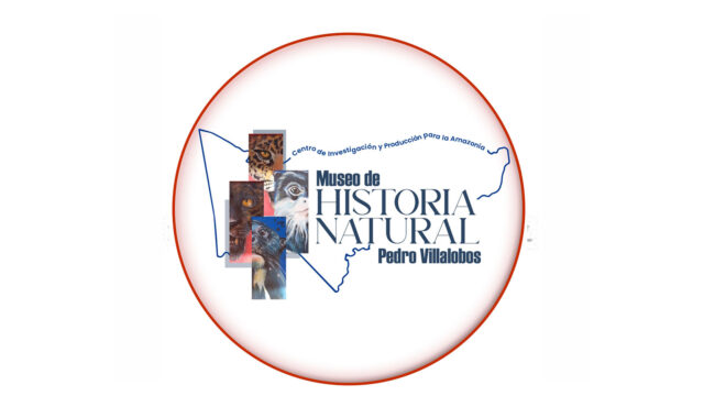 448690723_383301281391579_2322964955320329872_n