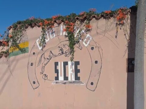 458393358_1922892674840992_4632294600474094674_n