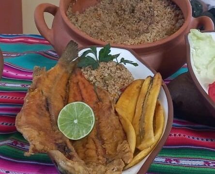 468054923_547900504732608_3916526890639664054_n