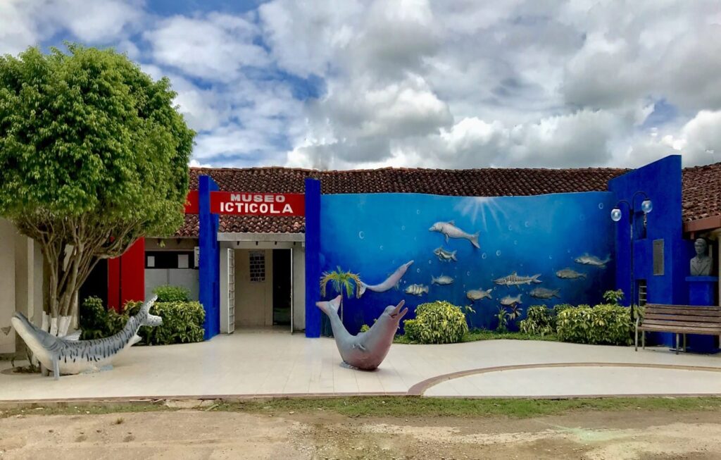 469011813_560574486757091_5657230361636253186_n