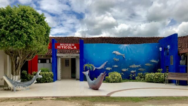 469011813_560574486757091_5657230361636253186_n