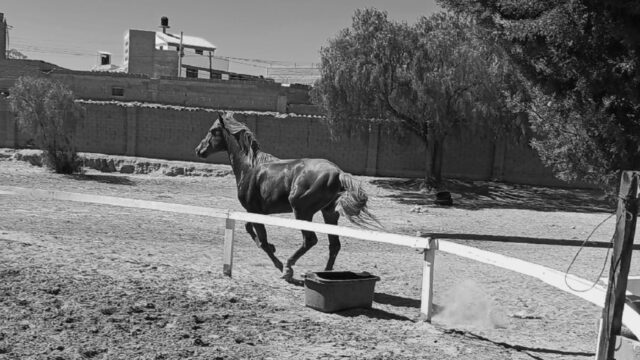 469223467_122134277024497863_3042447928005226649_n