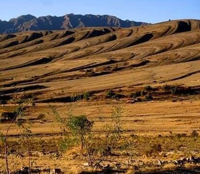 469860960_1602360000382903_3351771938453629214_n