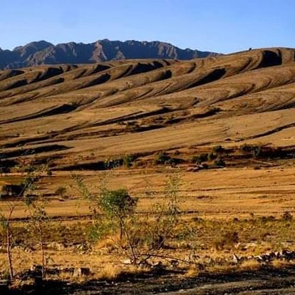 469860960_1602360000382903_3351771938453629214_n