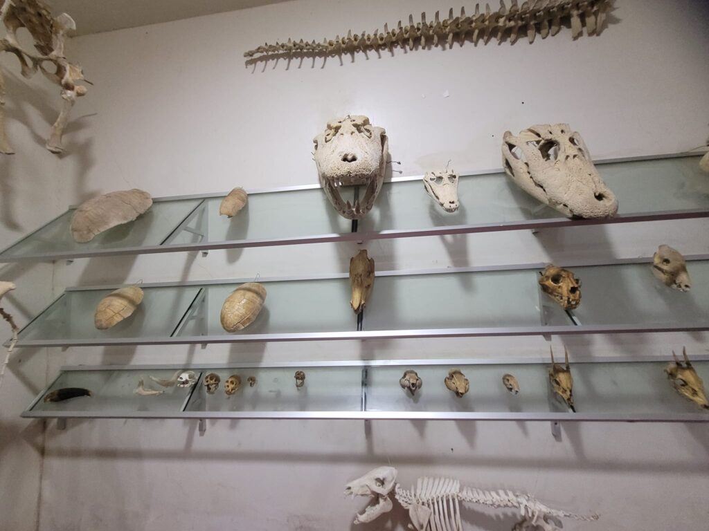 470148330_502828649438841_435304112639159313_n