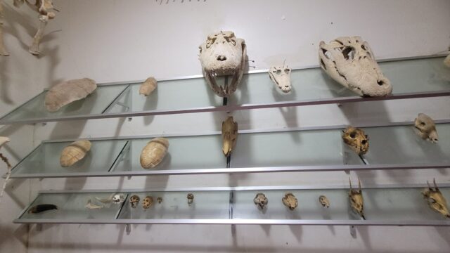 470148330_502828649438841_435304112639159313_n