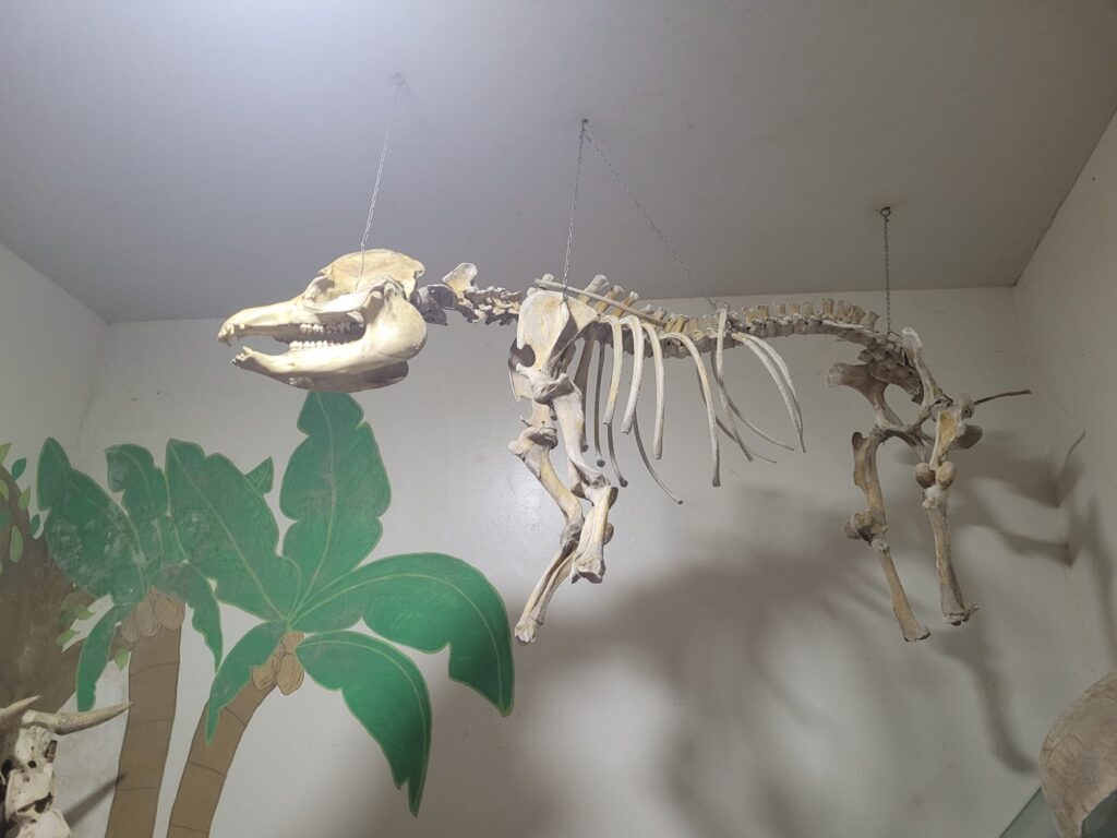 470188078_502828732772166_4439758767238800411_n