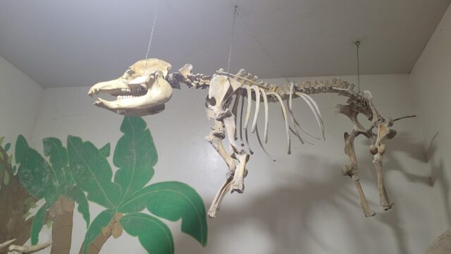 470188078_502828732772166_4439758767238800411_n