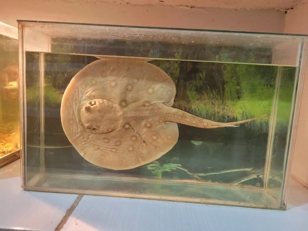 470482116_507946335593739_2776680323345444250_n