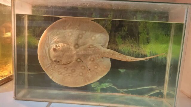 470482116_507946335593739_2776680323345444250_n