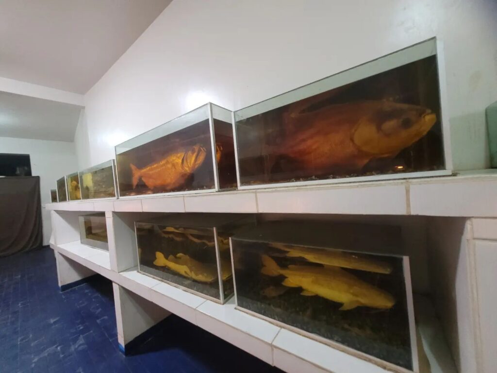 470676422_507946668927039_7315703390079240834_n