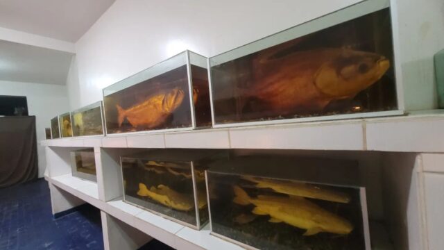 470676422_507946668927039_7315703390079240834_n