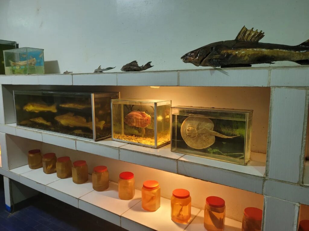 470689226_507946462260393_4681797506734887711_n