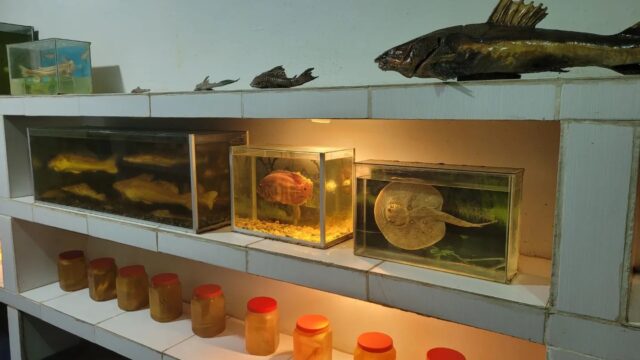 470689226_507946462260393_4681797506734887711_n