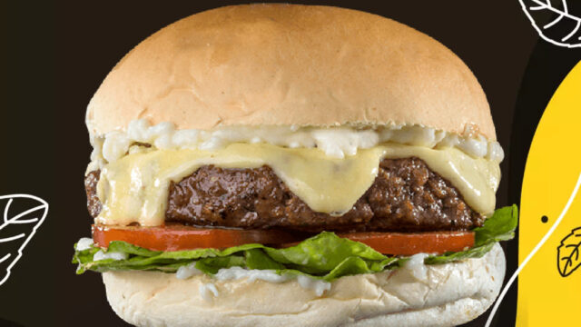 472719566_590332187078537_4956068972807950053_n