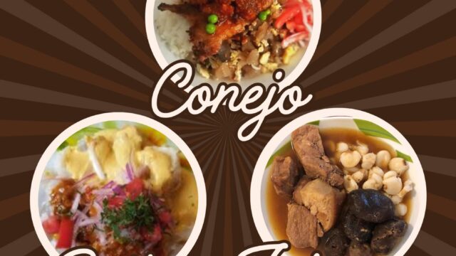 473831647_122141836532499100_7422441993632980026_n