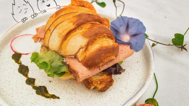 474199906_17955817286887592_8625705417574937548_n