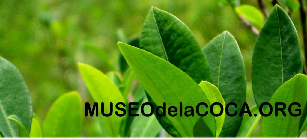 474886477_1065398615600413_479418421637561726_n