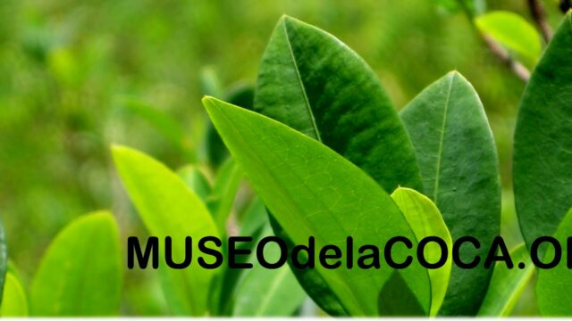 474886477_1065398615600413_479418421637561726_n