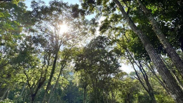 476365723_548238858250505_8386837794555587117_n