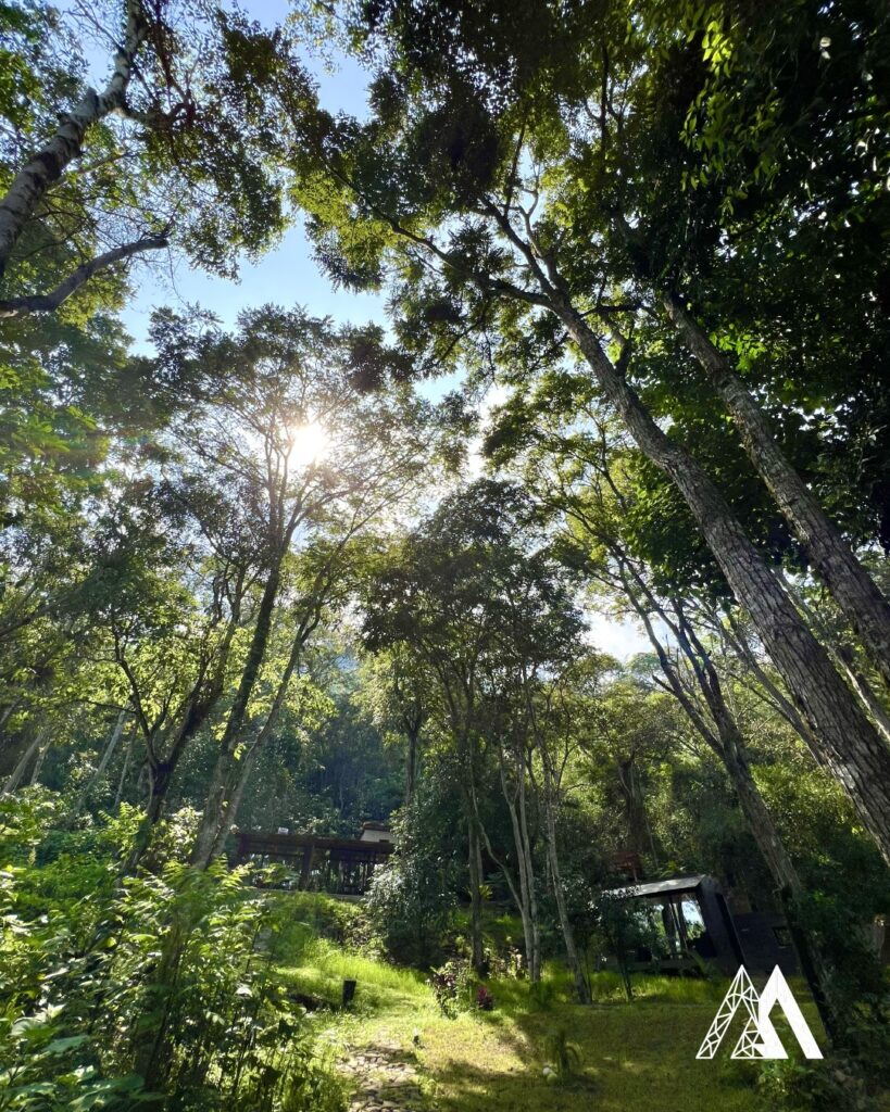 476365723_548238858250505_8386837794555587117_n