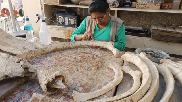 481203221_1011220751055857_6723089380846937115_n