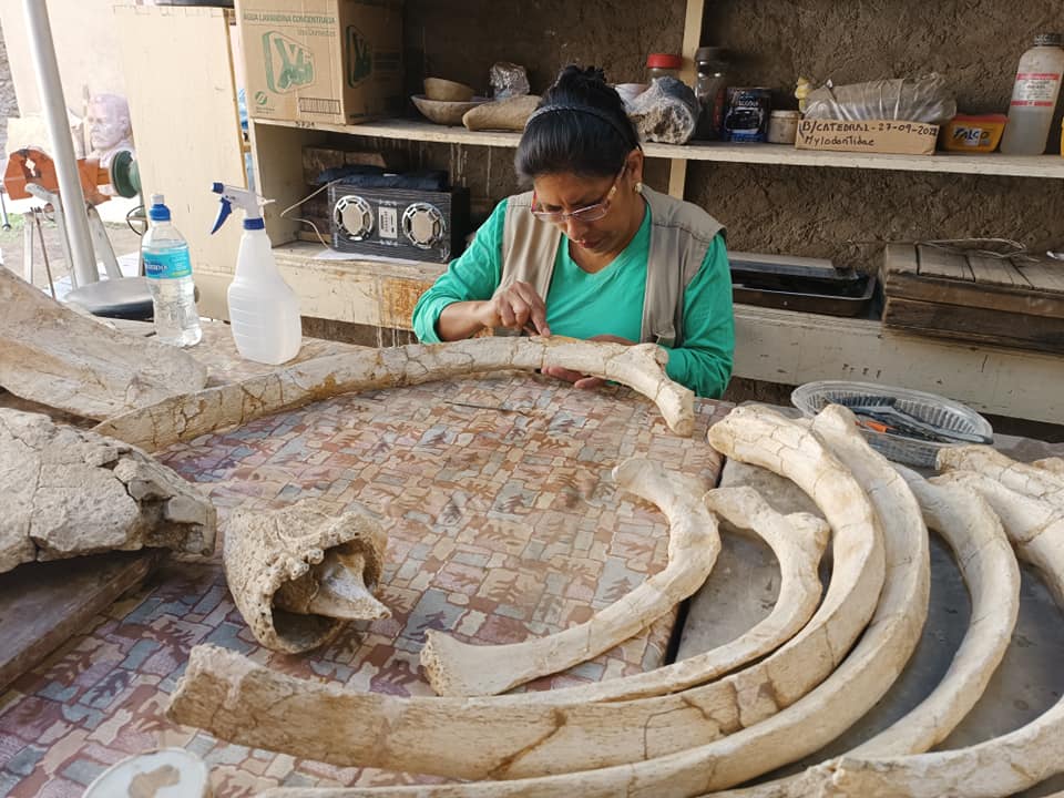 481203221_1011220751055857_6723089380846937115_n