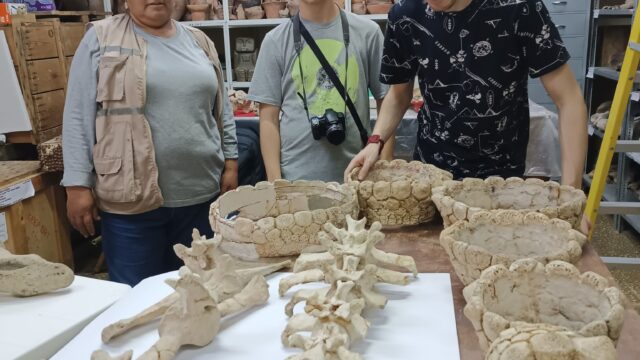 481343266_1015149943996271_4741214312138374145_n