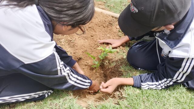 481819055_1134288318397687_3136093968419959142_n