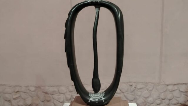 482248936_967383425543622_6629191579044444194_n