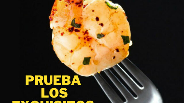 483830855_1212050904258694_5213450851294417171_n