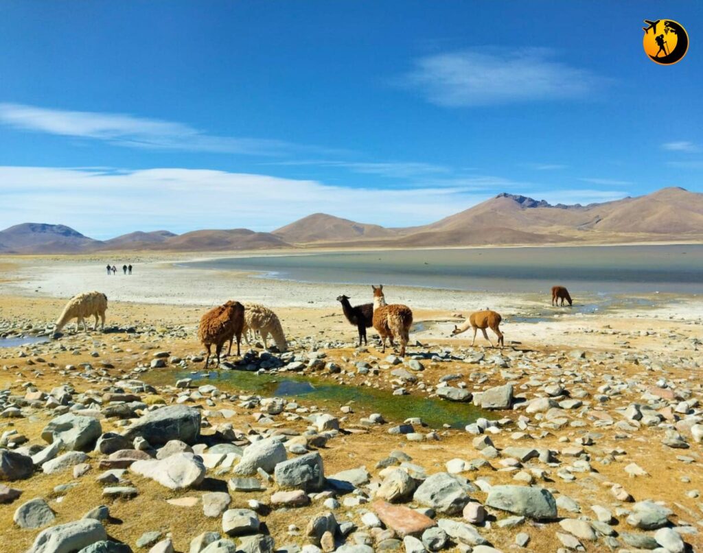 484991296_614638921533720_3614114551977958247_n