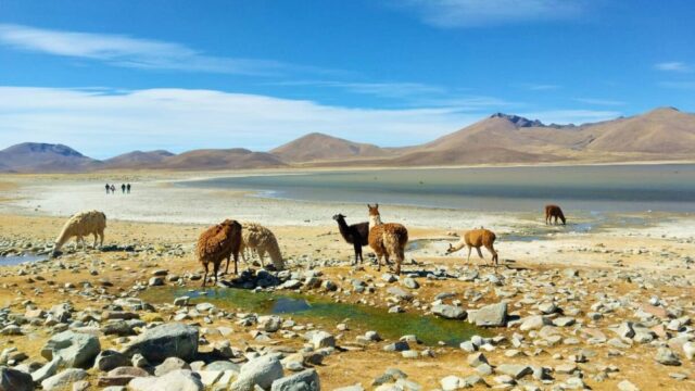 484991296_614638921533720_3614114551977958247_n