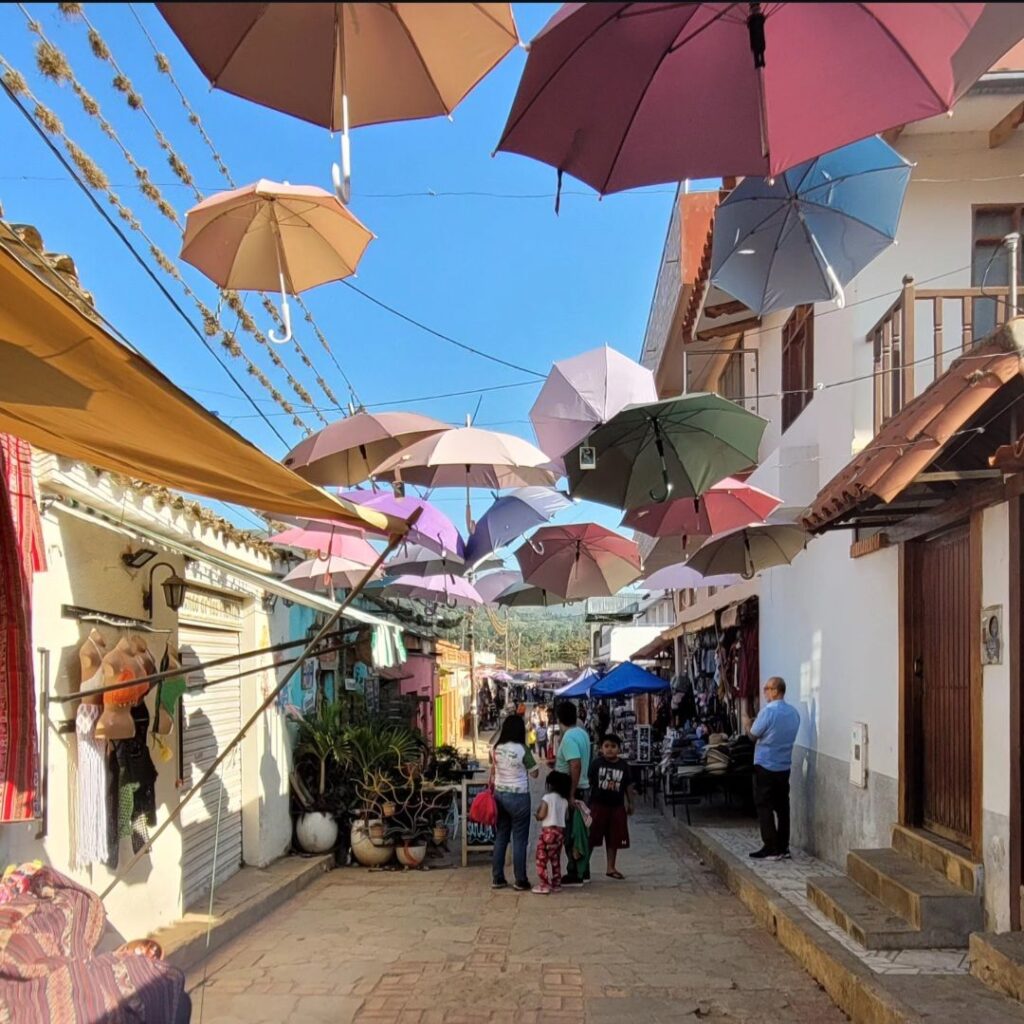 486296207_1081430404007240_3073584985256230381_n