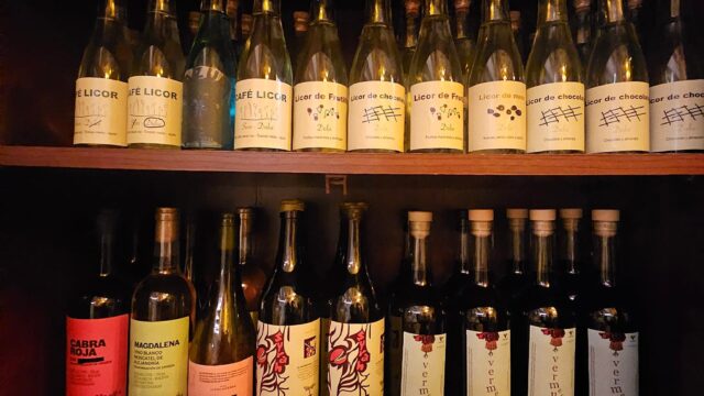 486833808_1459717325362219_741266687349546007_n