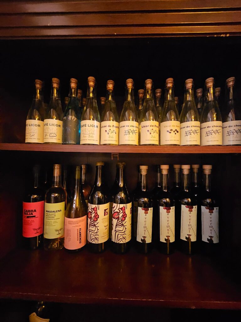 486833808_1459717325362219_741266687349546007_n