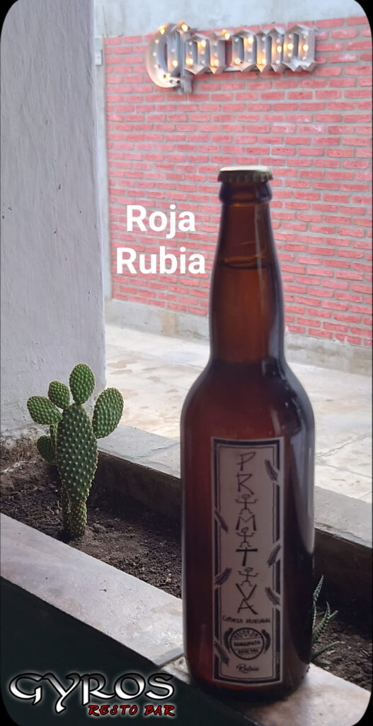 488181513_1228969872564609_4248673573816647000_n